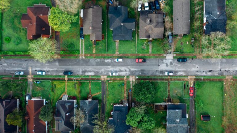 Aerial view of a tree-lined Midwest residential neighborhood street