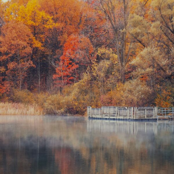 Wooden dock on a calm West Michigan lake surrounded by fall foliage