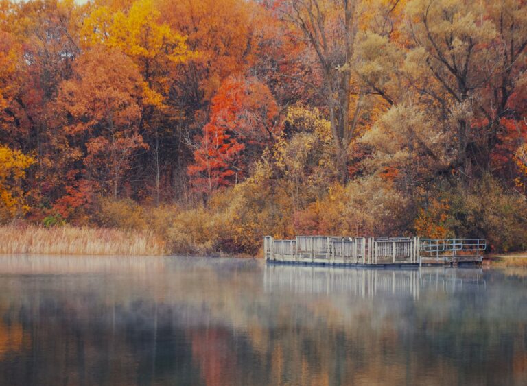 Wooden dock on a calm West Michigan lake surrounded by fall foliage